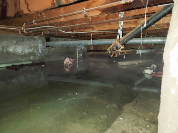 Best Water damage restoration near me  in Santa Rosa, NM