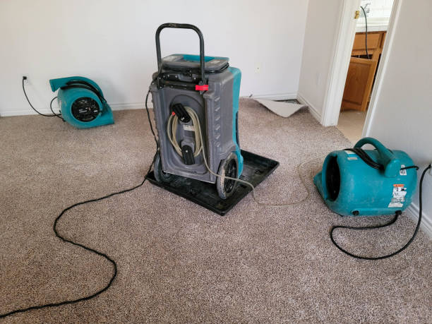  Santa Rosa, NM Water damage restoration Pros