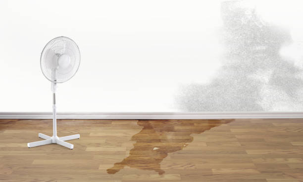 24/7 water damage repair in Santa Rosa, NM